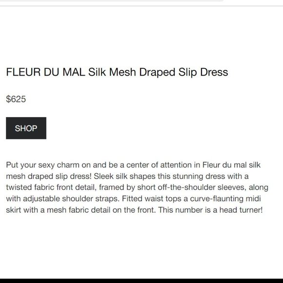 NWT Fleur Du Mal Silk Mesh Draped Dress Size 4 90s Femme Fatale Dark Princess - Picture 12 of 15